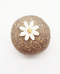 buy sweets online india alsi faxseed laddu send gift box